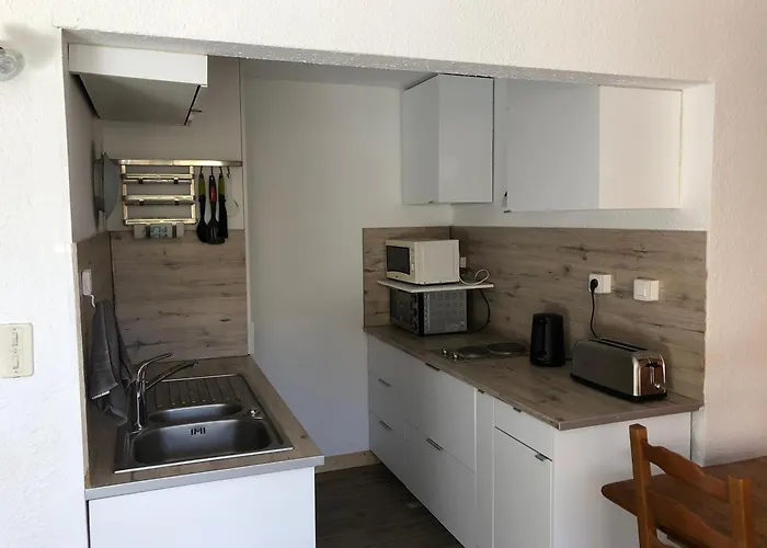 Apartment Pra-loup 1500 Spacieux Et Lumineux *